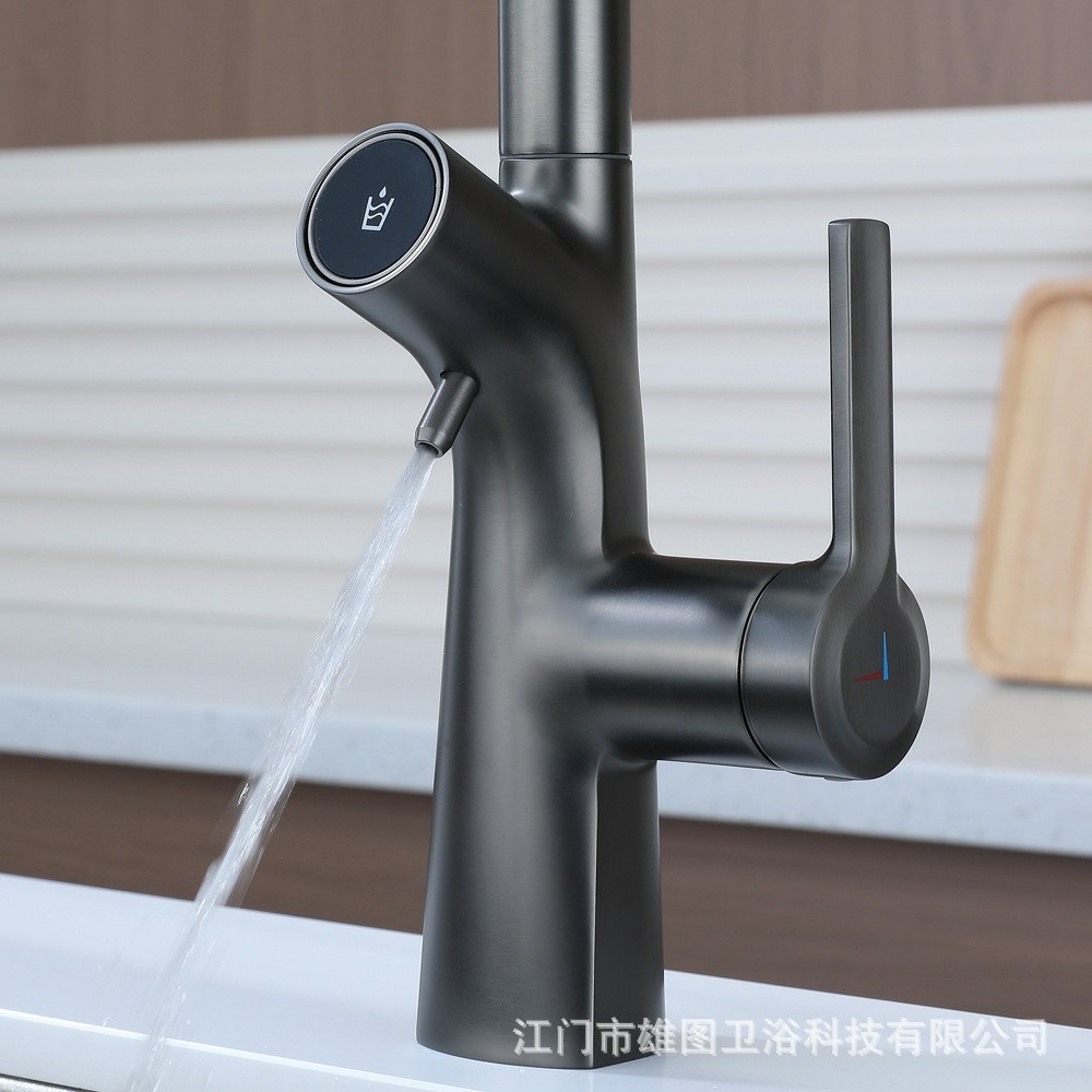 نمای نزدیک دکمه تعویض حالت آب معمولی و تصفیه شده