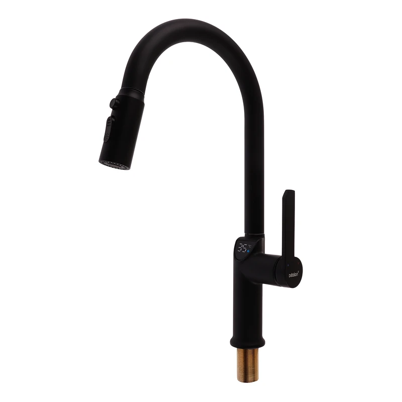 شیر ظرفشویی شاوری مدرن دیکالان